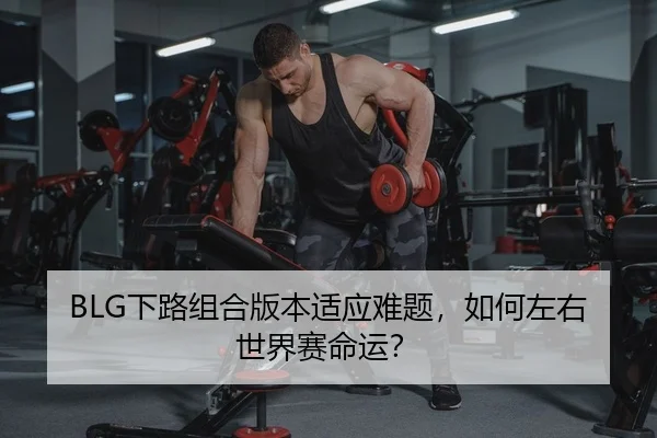 xia-lu-zu-he-ban-ben-shi-ying-nan-ti-ru-he-zuo-you-shi-jie-sai-ming-yun-2-529.jpg